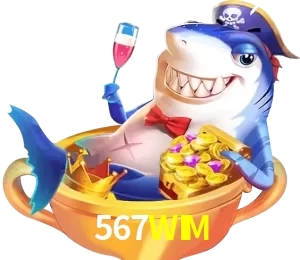 567WIM