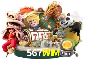 567WIM